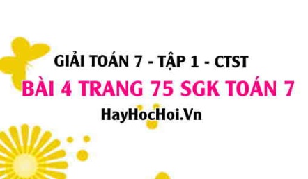 Giải bài 4 trang 75 Toán 7 Tập 1 SGK Chân trời sáng tạo